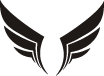soaringbird_wings.jpg