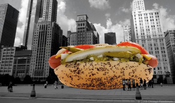foodseum hotdog