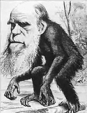Darwin_ape.png